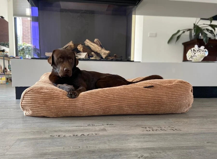 Leeby - Grey Waterproof Dog Bed