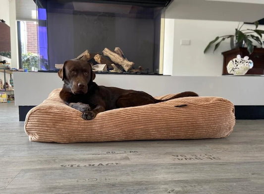 Leeby - Grey Waterproof Dog Bed